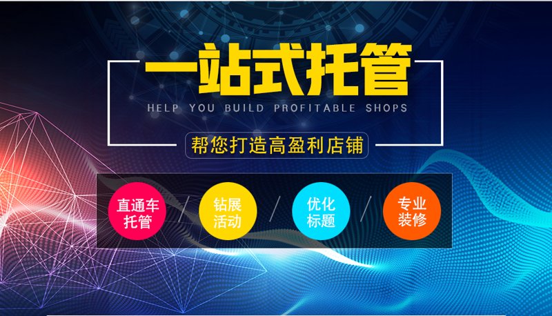 站群程序出售背后:从源码交易到AI全自动养站的技术重构