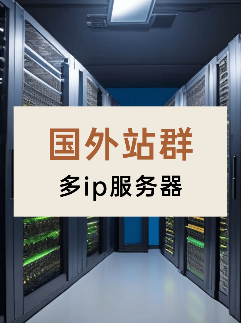 站群源码市场观察:多维度解析趋势与前景