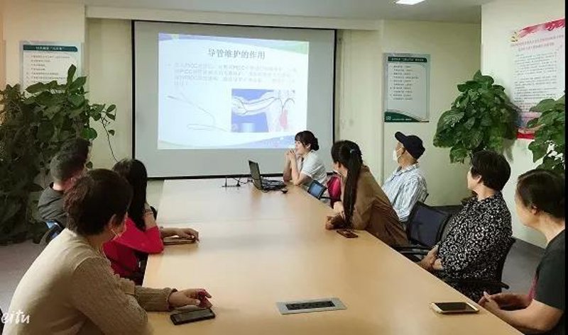 AI站群程序重构SEO效率逻辑：从批量部署到全自动养站的技术跃迁